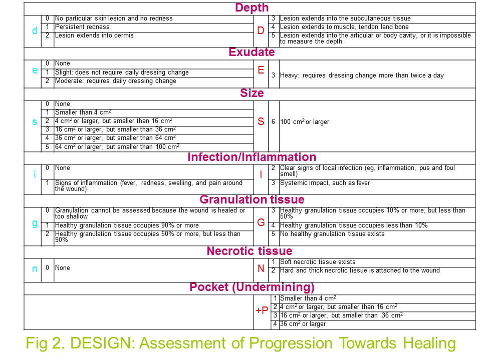 Fig 2. DESIGN: Assessment of Progression Towards Healing